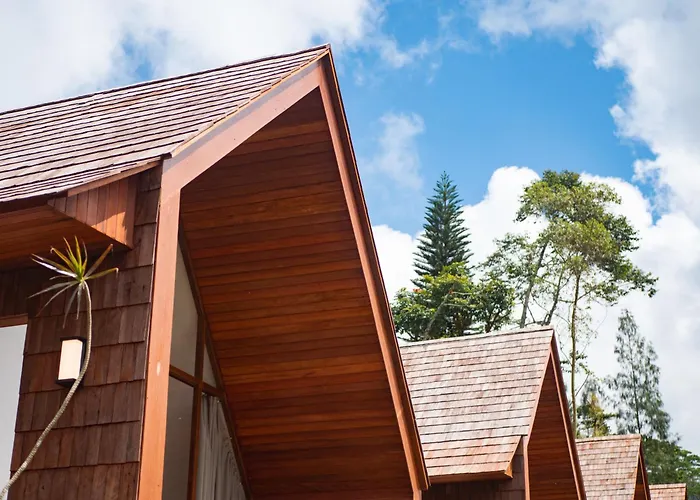 Catu Glamping Bedugul